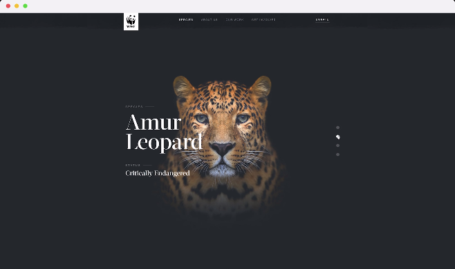 WebGL Distortion Slider